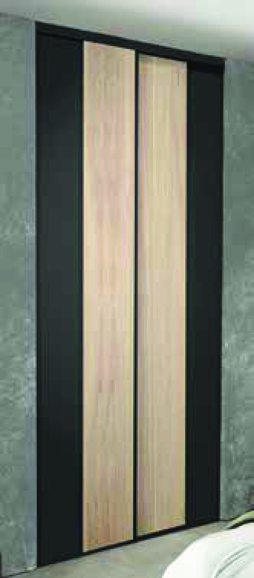 PORTES DE PLACARD COULISSANTES 2 VANTAUX