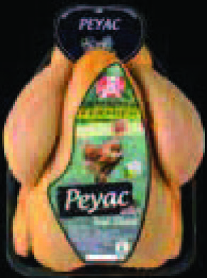 POULET JAUNE FERMIER SUD-OUEST 