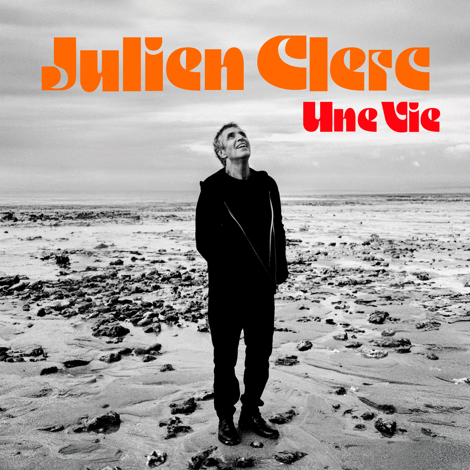 JULIEN CLERC