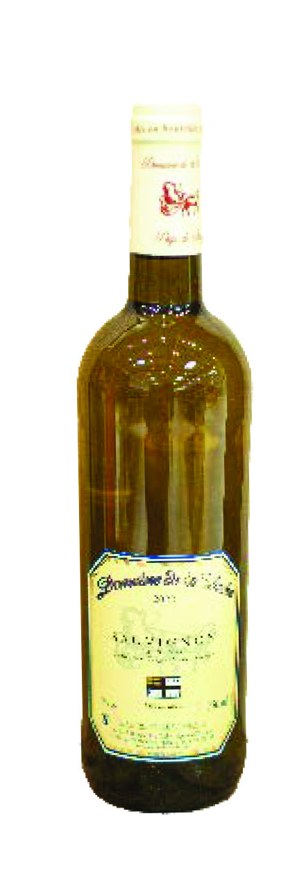 SAUVIGNON IGP VAL DE LOIRE 2020