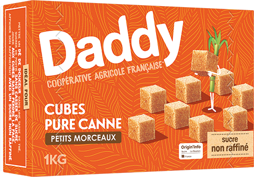 SUCRE PURE CANNE PETITS MORCEAUX