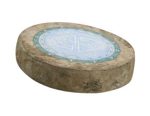TOMME GRISE DE MONTAGNE