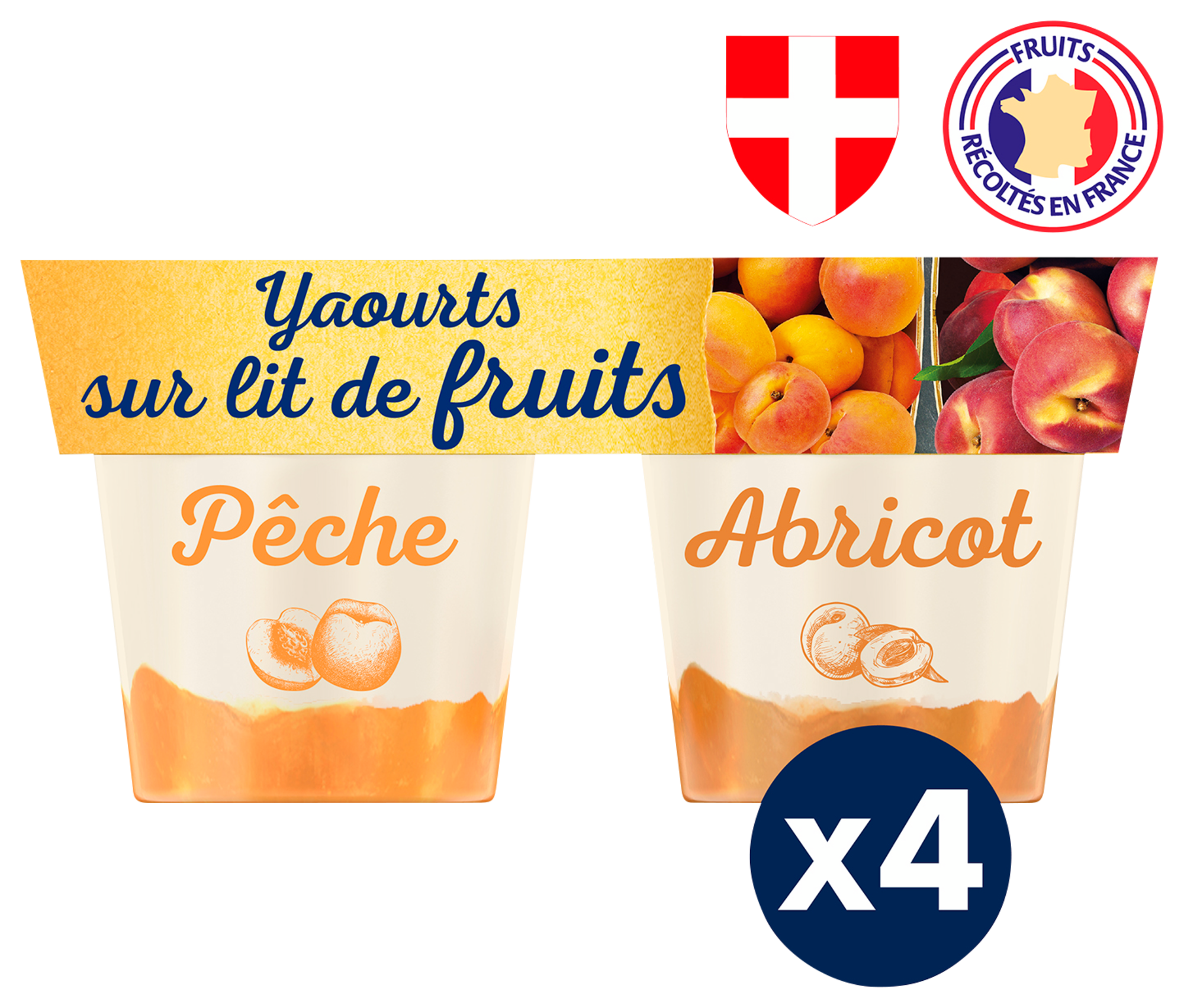 YAOURTS DE HAUTE-SAVOIE AU LAIT ENTIER SUR LIT DE FRUITS