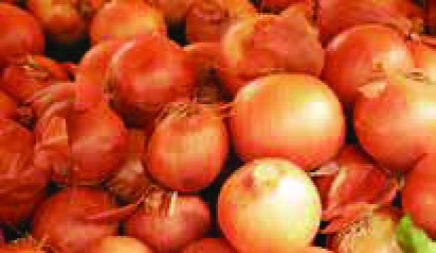 OIGNONS