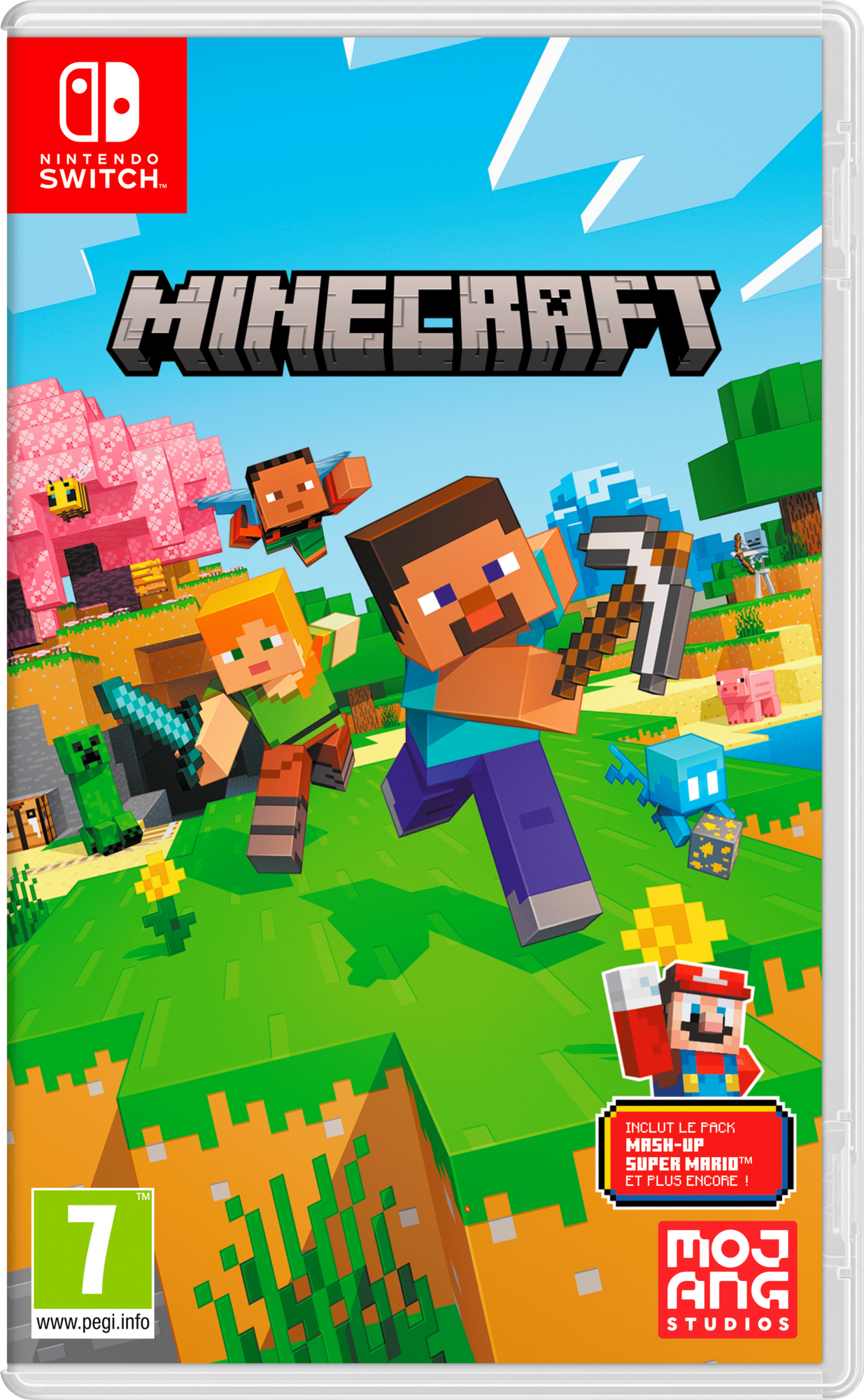 MINECRAFT SWITCH