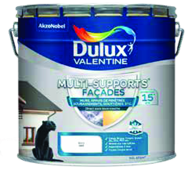 PEINTURE FAÇADE(3)(4)(5) MULTI-SUPPORTS