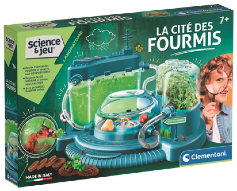 LA CITÉ DES FOURMIS