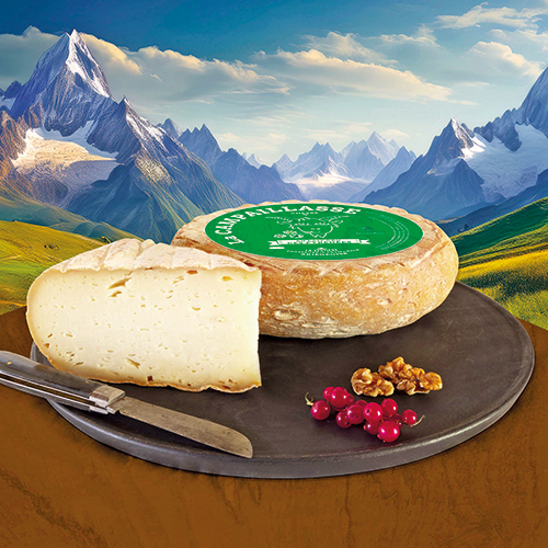 TOMME DES PYRÉNÉES IGP