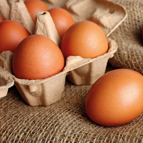 12 ŒUFS DE POULES ÉLEVÉES EN PLEIN AIR